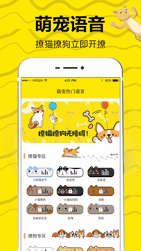猫狗翻译