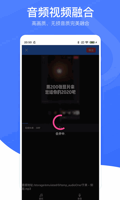 视频去水印专家