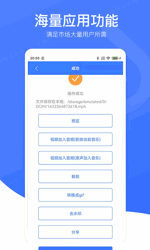 视频去水印专家