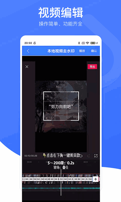 视频去水印专家